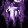   DiazViolet