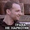 93368406545fa85b752aaf